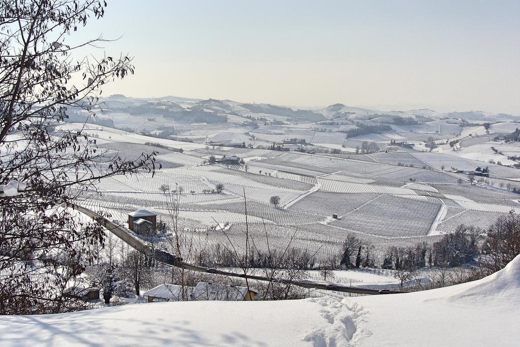 Profumi... Konuk evi Vinchio Dış mekan fotoğraf