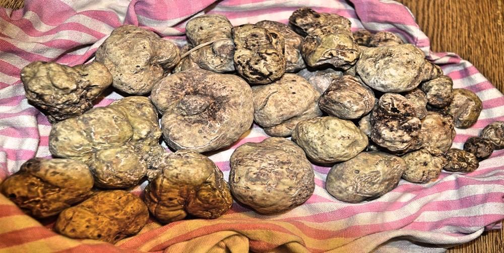 Profumi... Konuk evi Vinchio Dış mekan fotoğraf
